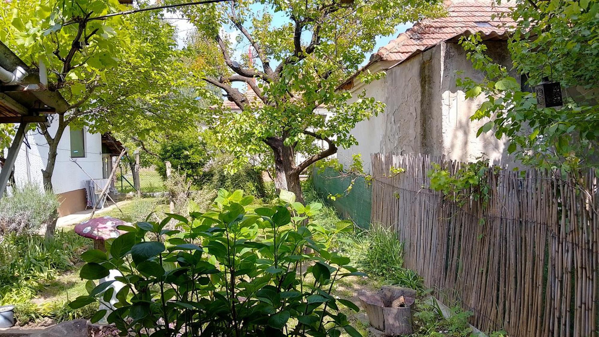 شقة Przic House نيجوتين المظهر الخارجي الصورة