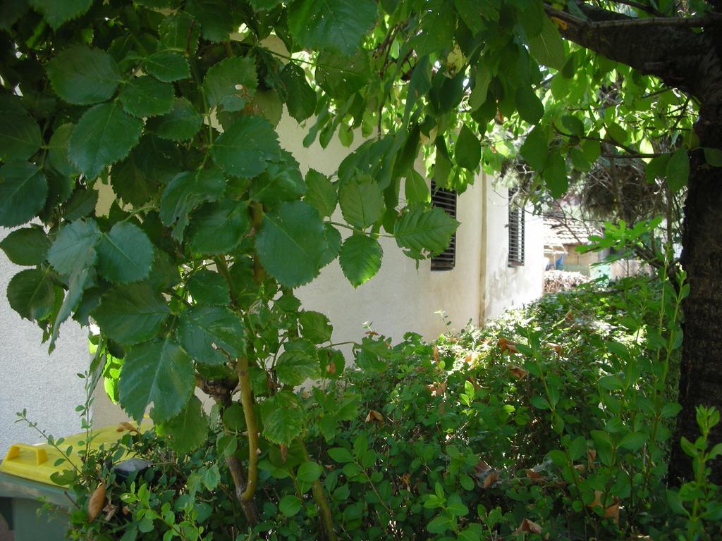شقة Przic House نيجوتين المظهر الخارجي الصورة